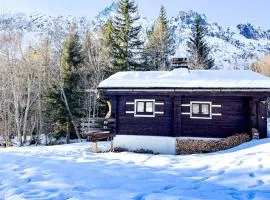 Snowflake cottage with garden