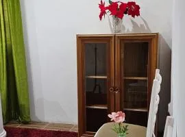 AG Euro Apartments