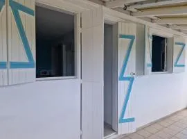 Vakans ART