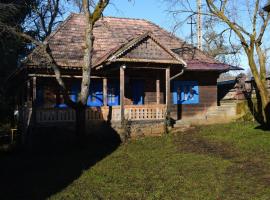 Casa Visovan, cabaña o casa de campo en Sighetu Marmaţiei