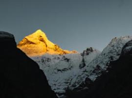 Hotel Badrinath Anant Badrinath, hotel in Badrīnāth