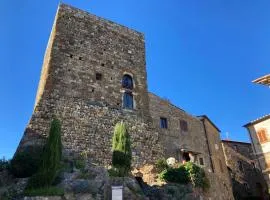 Torre Sassa - Rinascimento in Toscana Colazione Inclusa