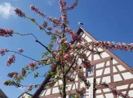 Appartement am Stadtmuseum - ruhig und zentral gelegen