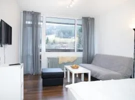 Apartmány na Tanvaldském Špičáku