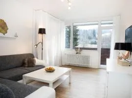 Apartmány na Tanvaldském Špičáku