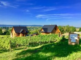 Winnica Nad Źródłem - Domki w winnicy z kominkami i tężniami