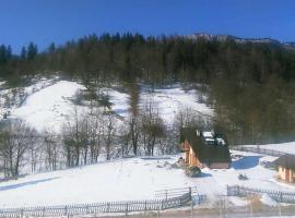 Viesnīca Vikendica Cican Jahorina pilsētā Jahorina