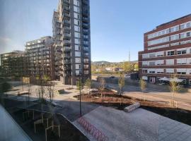 Studio apartment 10mins from Oslo Cent. station., апартаменти в Осло