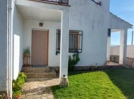La lechuza blanca