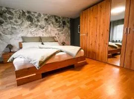 Ferienwohnung im Mittelrheintal, Traumschleife & Rheinsteig Wanderwege!