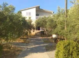 Apartment Rozi