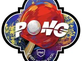 Pong - A Birdy Vacation Rental