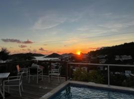 The Green Iguana Hotel, hotel a Charlotte Amalie