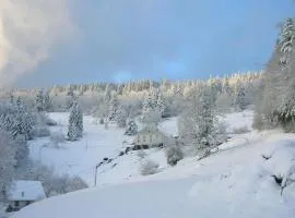 Gîte familial à Cornimont avec Wifi et parking - FR-1-589-84