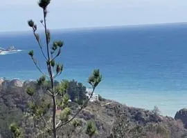 Descansa entre bosque y el mar