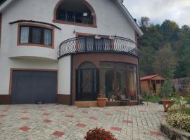 DIOSKURIA BORJOMi, hotel with parking in Borjomi