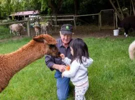 Bellevue Farmstay