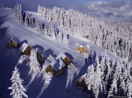 Almhütten Moselebauer, готель біля визначного місця Barenwaldlift, у місті Klippitztorl