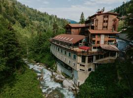 Ayder Hasimoglu Hotel, hotel di Ayder Yaylasi