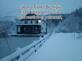 Cabana Țibleș, feriebolig 