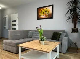 Parkcity Park Śląski