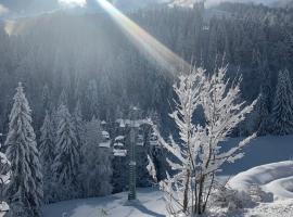 Berghotel Pointenhof, hotel din apropiere 
 de Jodlalmbahn, Sankt Johann in Tirol