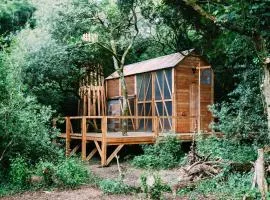 Architectural Danish Cabin surrounded by nature