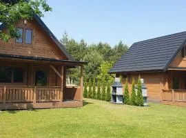 Domki z bala przy plaży Orle Jezioro Głuszyńskie