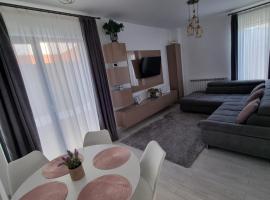 Daric Residence Apartaments – apartament w mieście Fălticeni