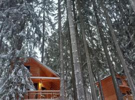 Chalet Hay Huy, chalet de montaña en Bușteni