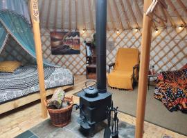 Pandy Farm Yurt - Panoramic mountain views within Snowdonia's National Park - 4x4 recommended，多爾蓋萊的飯店
