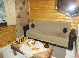 eco faraggi, hotel with parking in Kalavrita