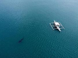 Dancalan Beach Resort, hotel pet friendly a Donsol