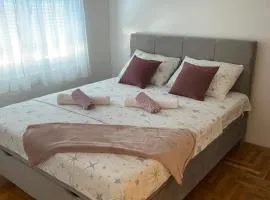 Apartman DIS