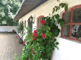 Gemütliches Reetdachhaus mit Kaminofen