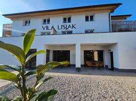 VILA LISJAK - Apartments: Podčetrtek şehrinde bir otel