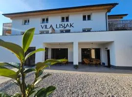 VILA LISJAK - Apartments
