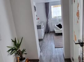 Ferienwohnung Sigmarino, apartamento em Sigmaringen