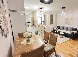 Aero Fly apartment Belgrade