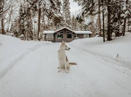 Dog friendly Muskoka. Fun from forest to river., hytte i Huntsville