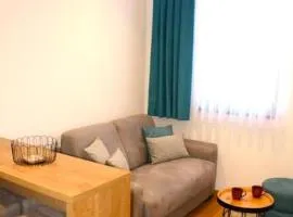 Aparthotel Zlatni Javor 406