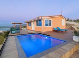 Twins Villa