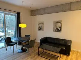 37-1-4 City apartment Dæmningen Vejle