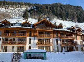 Martina 1 by SMR Rauris Apartments - close to Gondola and Spa, hotelli kohteessa Rauris