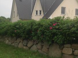 Urlaubsglück Familien- & Hunde-Paradies, Cottage in Rankwitz