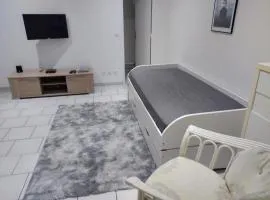 charmant studio canapé lit Netflix prime vidéo wifi