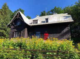 Dom Pracy Twórczej Muchomorek, guesthouse kohteessa Pieszyce