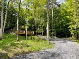 Camp Bear Path