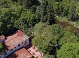 Terrambú