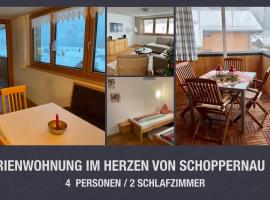 Ferienwohnung Schoppernau, apartma v mestu Schoppernau